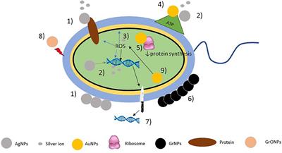 Nanoparticle-Based Devices in the Control of Antibiotic Resistant Bacteria